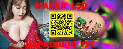 прущие грибы Камышлов