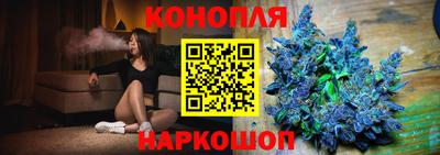 прущие грибы Камышлов