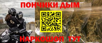 прущие грибы Камышлов