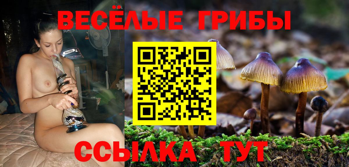 Холмск  Галлюциногенные грибы мухоморы  Вход с VPN  Псилоцибиновые грибы GOLDEN TEACHER 
