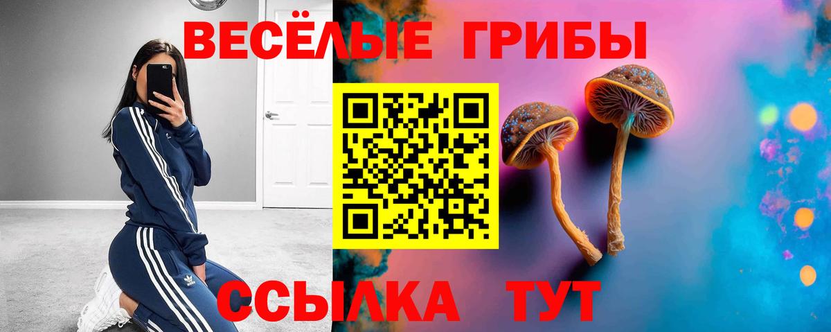 Галлюциногенные грибы ЛСД Холмск